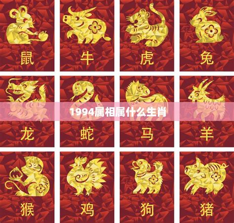 1994年生肖|1994年属什么生肖配对 1994年和什么属相最配